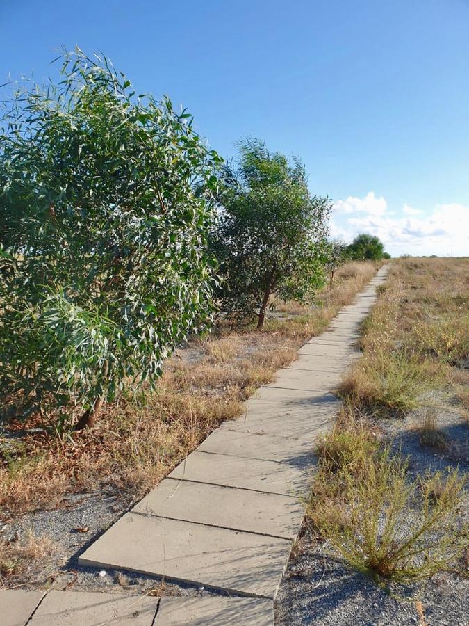 Vista Mare Su Tre Piani Con Giardino Vila Falerna Exterior foto
